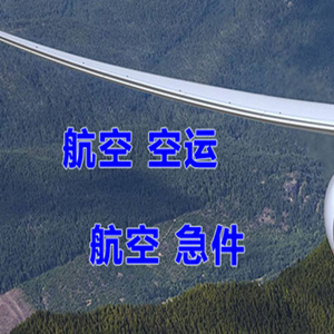 湛江吴川航空快运快递-选东方航空和上海航空